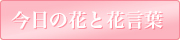 ̉ԂƉԌt